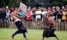 Peresean: Tradisi Pertarungan Penuh Makna dari Suku Sasak di Lombok